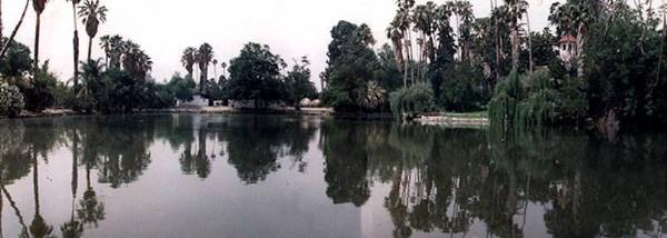 Los Angeles County Arboretum (12/31/2003)