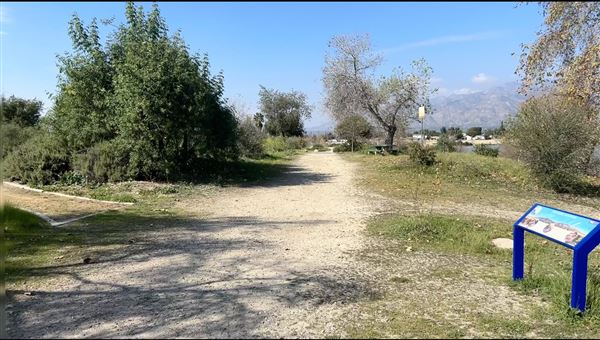 Peck Road Water Conservation Park (2/9/2026 - Credits: Brandy Davis)