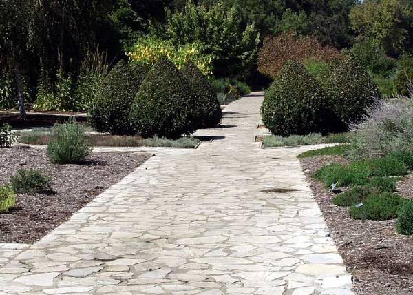 Los Angeles County Arboretum (12/31/2003)