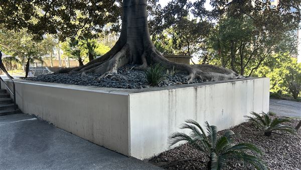 LADWP Headquarters / John Ferraro Building - Outside eating area (2/27/2026 - Credits: Brandy Davis)