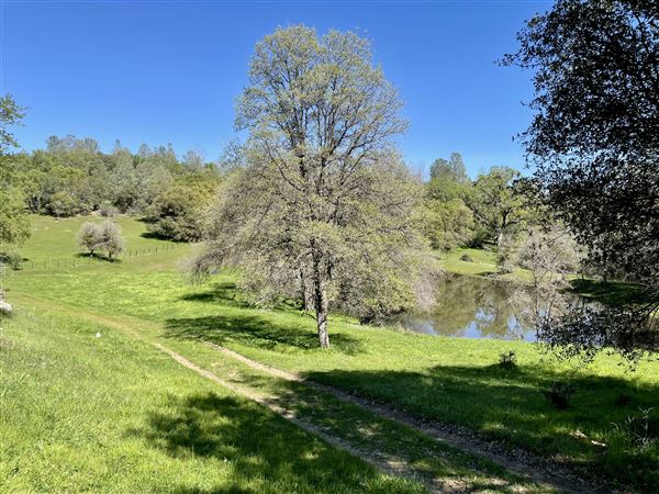 Aukum Ranch (3/20/2026 - Credits: Jon Masters)