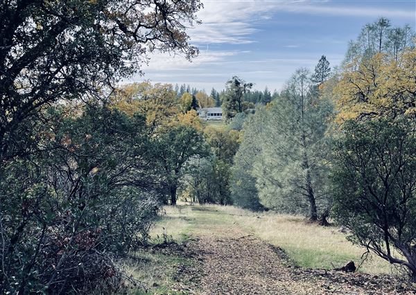 Aukum Ranch (3/20/2026 - Credits: Jon Masters)