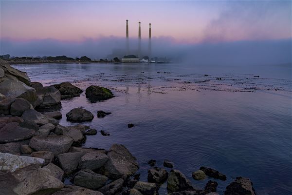 Morro Bay State Park (SP) (12/1/2021 - Credits: Brian Baer)