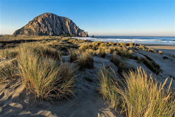 Morro Strand State Beach (SB) (11/30/2016 - Credits: Brian Baer)