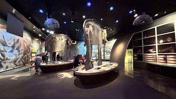 Wester Science Center (3/28/2026 - Credits: Brandy Davis)