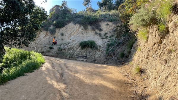 Boy Scout Trail - Griffith Park (3/6/2022 - Credits: Leo Fialho)