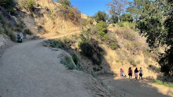 Boy Scout Trail - Griffith Park (3/6/2022 - Credits: Leo Fialho)
