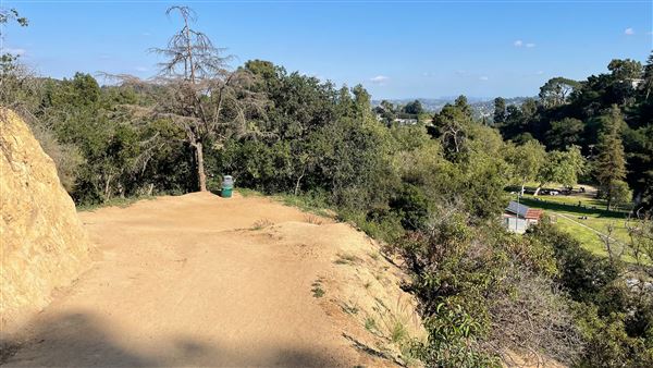 Boy Scout Trail - Griffith Park (3/6/2022 - Credits: Leo Fialho)