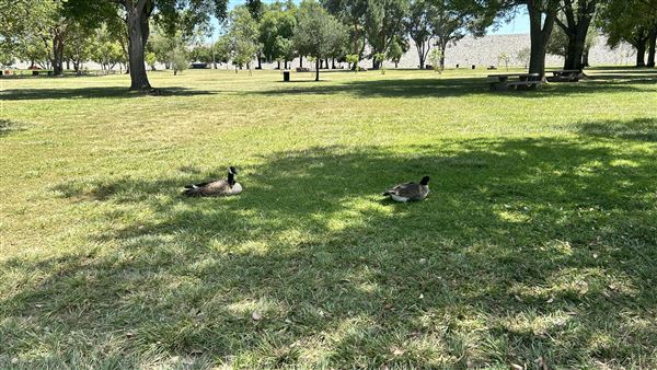 Santa Fe Dam Recreational Area - Picnic Areas & Walking Paths (4/23/2026 - Credits: Brandy Davis)