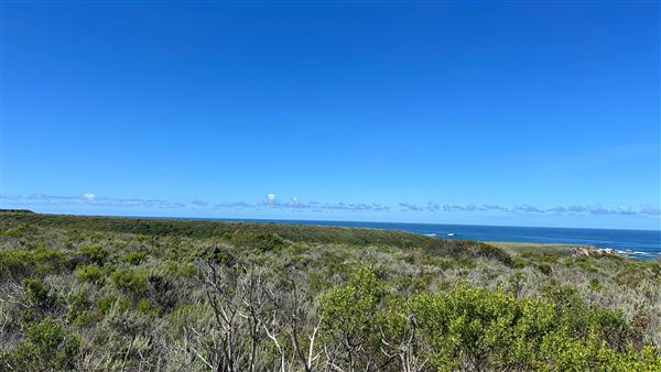 Montana de Oro State Park (SP) (4/22/2026 - Credits: Leo Fialho)
