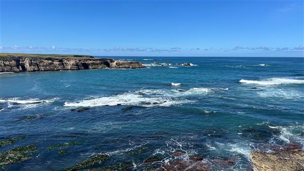 Montana de Oro State Park (SP) (4/22/2026 - Credits: Leo Fialho)
