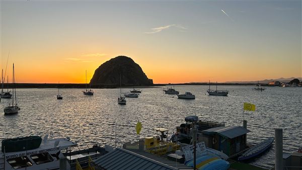 Morro Bay Harbor (4/22/2026 - Credits: Leo Fialho)