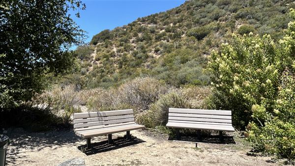 Deukmejian Wilderness Park (7/6/2026 - Credits: Brandy Davis)