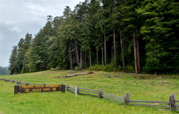 Prairie Creek Redwoods State Park (SP) within the Redwood National and State Parks (4/14/2014 - Credits: Brian Baer)