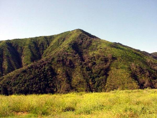 Mountain Property of Social Model Recovery System - Private Property (12/31/2003)