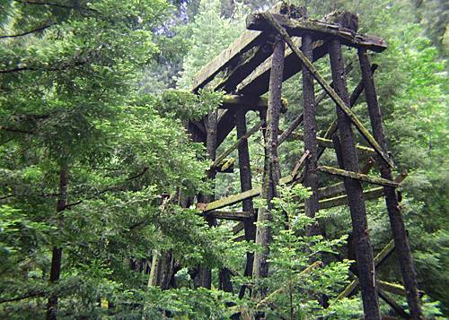 Roaring Camp Railroad (12/31/2003)