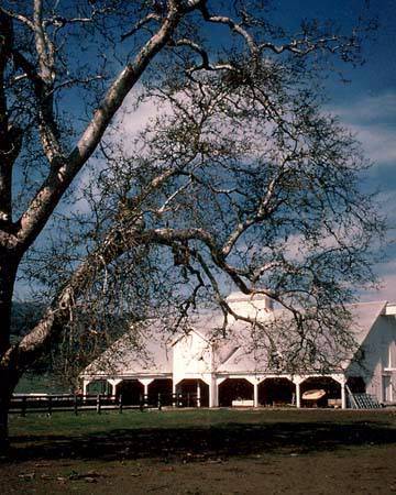 San Felipe Ranch Inc. / The Nature Conservancy California Program (12/31/2003)