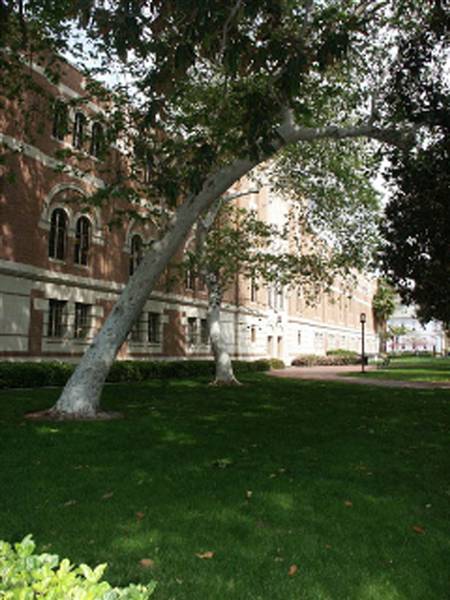 University of Southern California - USC (4/1/2010)