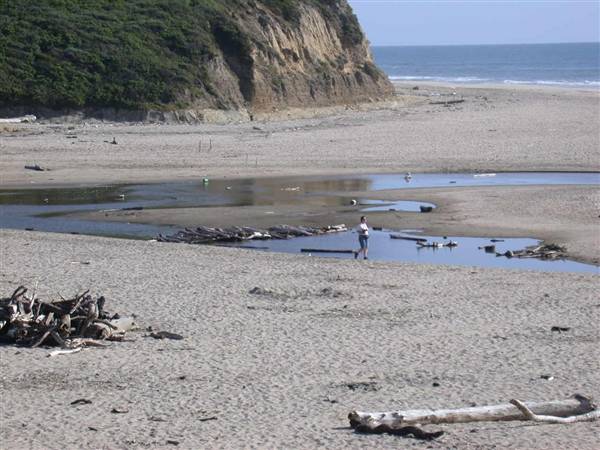 San Gregorio State Beach (SB) (8/3/2010)