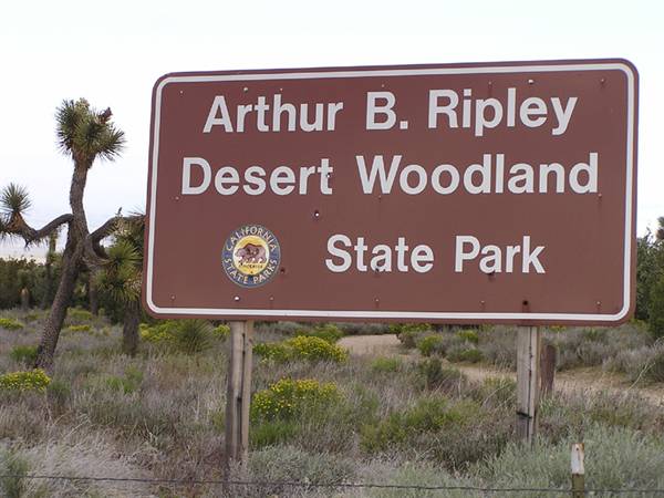 Arthur B. Ripley Desert Woodland State Park (SP) (8/9/2010)