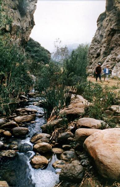 Ed Davis Park in Towsley Canyon - Santa Monica Mountains Conservancy - SMMC (12/31/2003)
