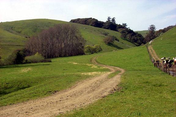 Tresch Dairy (12/31/2003)