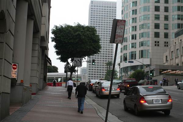 5th St. between Grand Ave. & Olive St. (9/1/2010 - Credits: Lindsay Mizrahi)