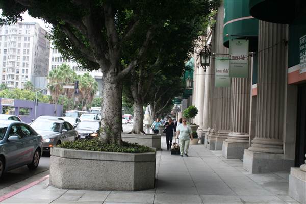 Olive St. between 5th and 6th St. (9/1/2010 - Credits: Lindsay Mizrahi)