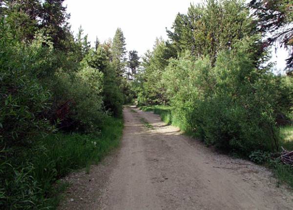 Washoe Meadows State Park (SP) (12/31/2003)