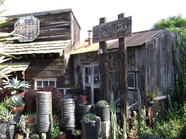 California Nursery Specialties - Cactus Ranch (6/22/2011 - Credits: J. Steven Witkowski)