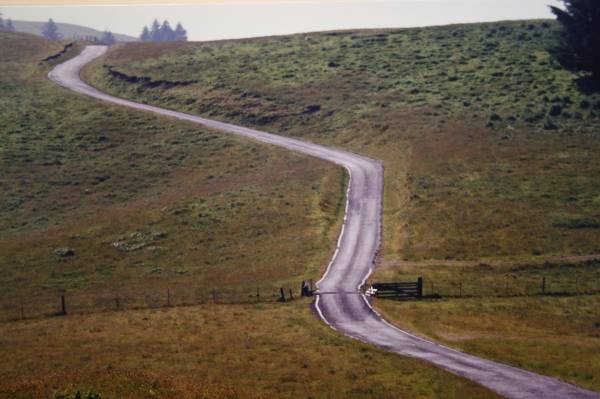 Bear River Ridge Road - Off HWY 101 (3/5/2008)
