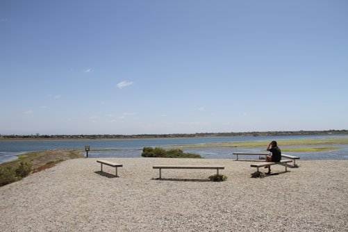 Bolsa Chica Ecological Reserve - California Department of Fish & Wildlife (CDFW) (4/5/2012)