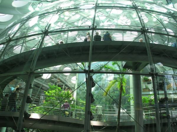 California Academy of Sciences (10/6/2008)