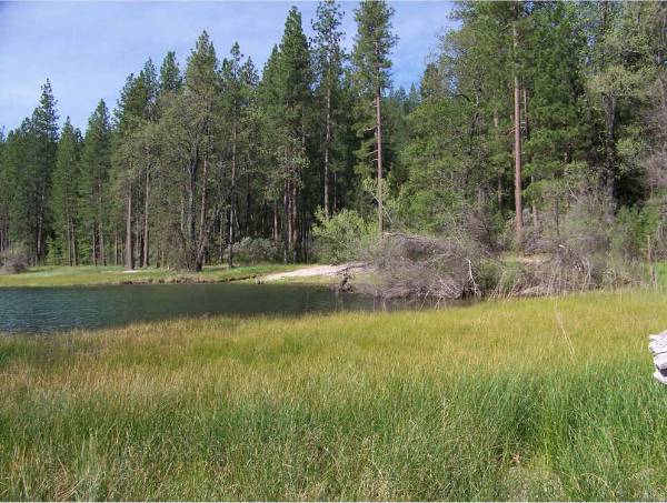 Bass Lake / Crane Valley Reservoir - More info; visit www.filmyosemite.com or call 559.760.1143 (12/8/2008 - Credits: Dave Wolin)