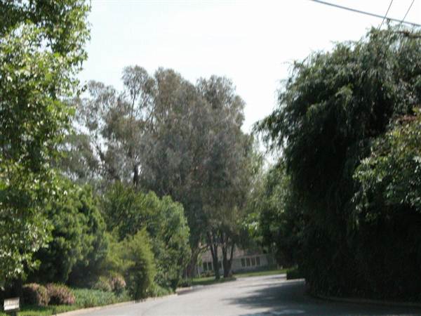 Chapman Woods Neighborhood Streets (10/10/2012)