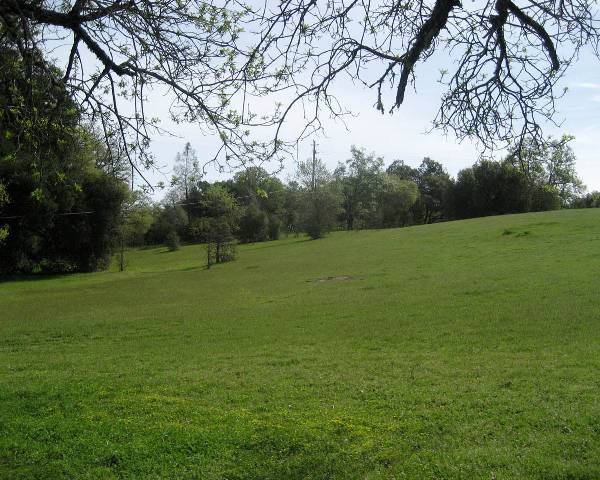 Spennymoor Ranch (3/3/2009)