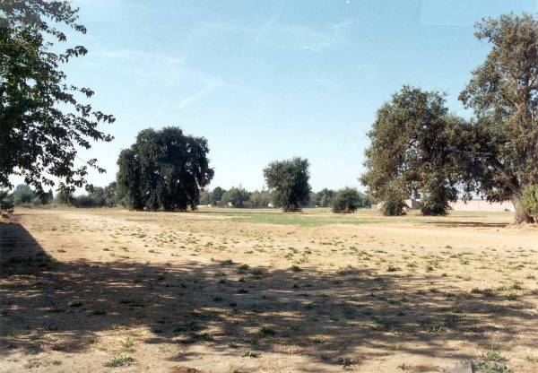 Butte County Fairgrounds - 3rd DAA (12/31/2003)