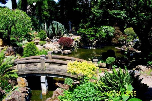 Japanese Tea Garden - San Mateo Central Park & Recreation Center (6/24/2013)