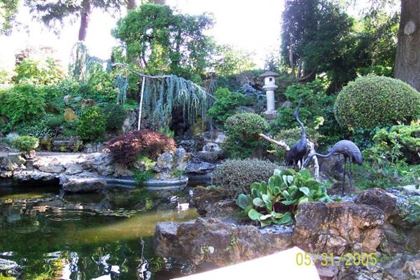 Japanese Tea Garden - San Mateo Central Park & Recreation Center (6/24/2013)