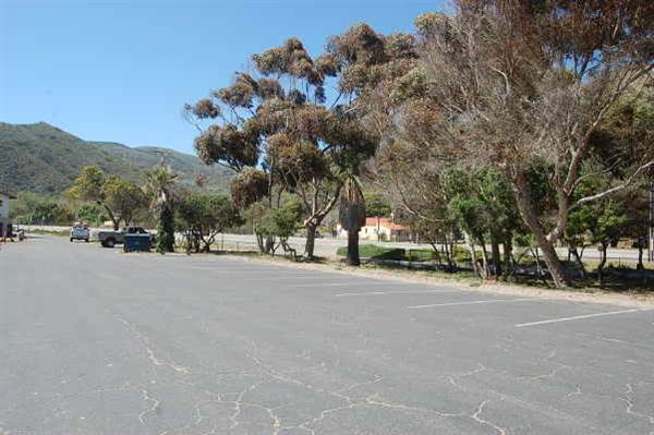 Sycamore Cove State Beach (SB) & Campground @ Point Mugu State Park (SP) - CFC (10/29/2013 - Credits: David Golden)
