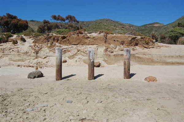 Sycamore Cove State Beach (SB) & Campground @ Point Mugu State Park (SP) - CFC (10/29/2013 - Credits: David Golden)