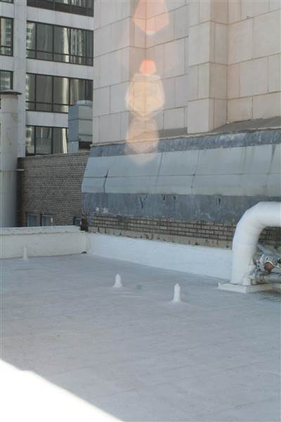 Heron Building (2/13/2014)