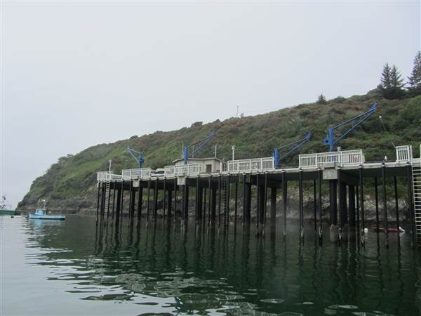 Trinidad Harbor (2/17/2014)