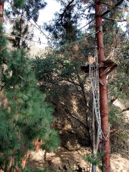 Camp Hollywoodland (12/31/2003)