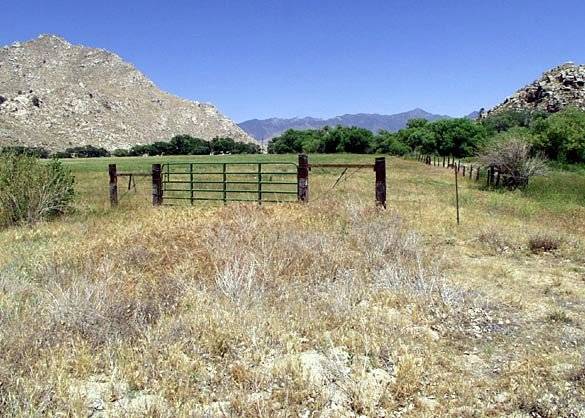 Canebrake Ecological Reserve - California Department of Fish and Wildlife (CDFW) (12/31/2003)