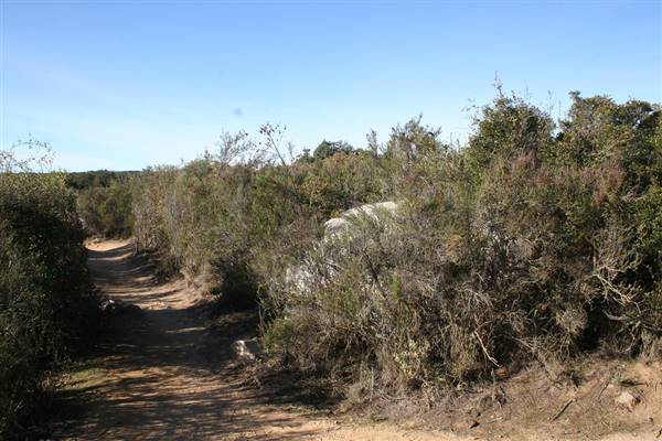 Santa Rosa Plateau Ecological Reserve - Riverside County & California Department of Fish & Wildlife (CDFW) (10/19/2015)
