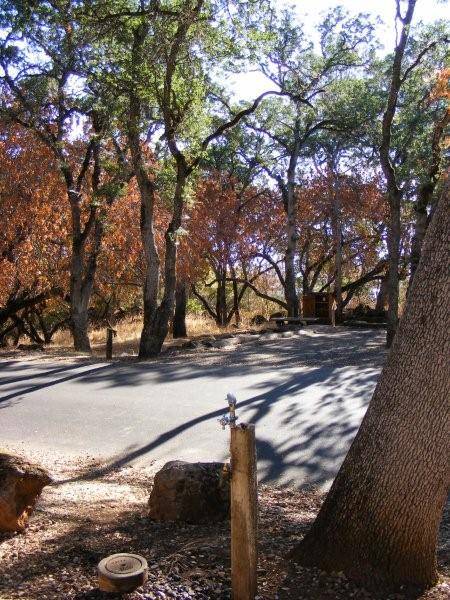 Clear Lake State Park (SP) (1/15/2016 - Credits: ++++http://www.parks.ca.gov/ImageGallery/?page_id=473)