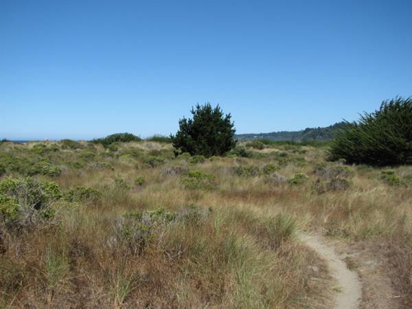 Little River State Beach (SB) (1/20/2016 - Credits: http://www.parks.ca.gov/ImageGallery/?page_id=419)