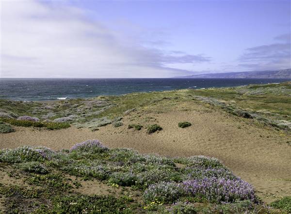 Manchester State Park (SP) (1/20/2016 - Credits: Courtesy of California State Parks, 2016)