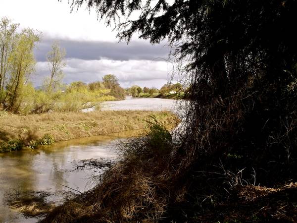 Colusa-Sacramento River State Recreation Area (SRA) - http://stateparkclosurestrip.blogspot.com/ (3/2/2016 - Credits: Photo courtesy of Lucy D'Mot)